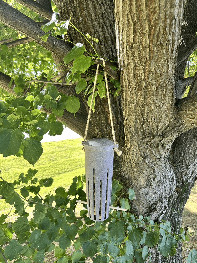 Peanut Feeder - Nut Husks - Image 7