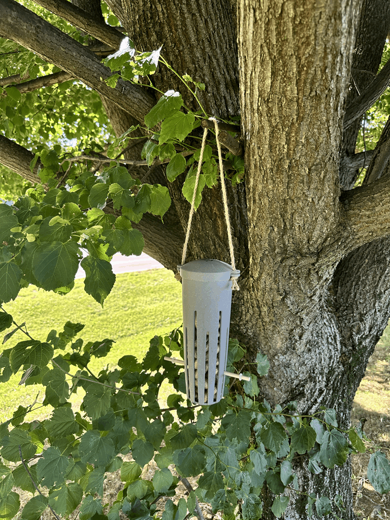 Peanut Feeder - Straw - Image 7