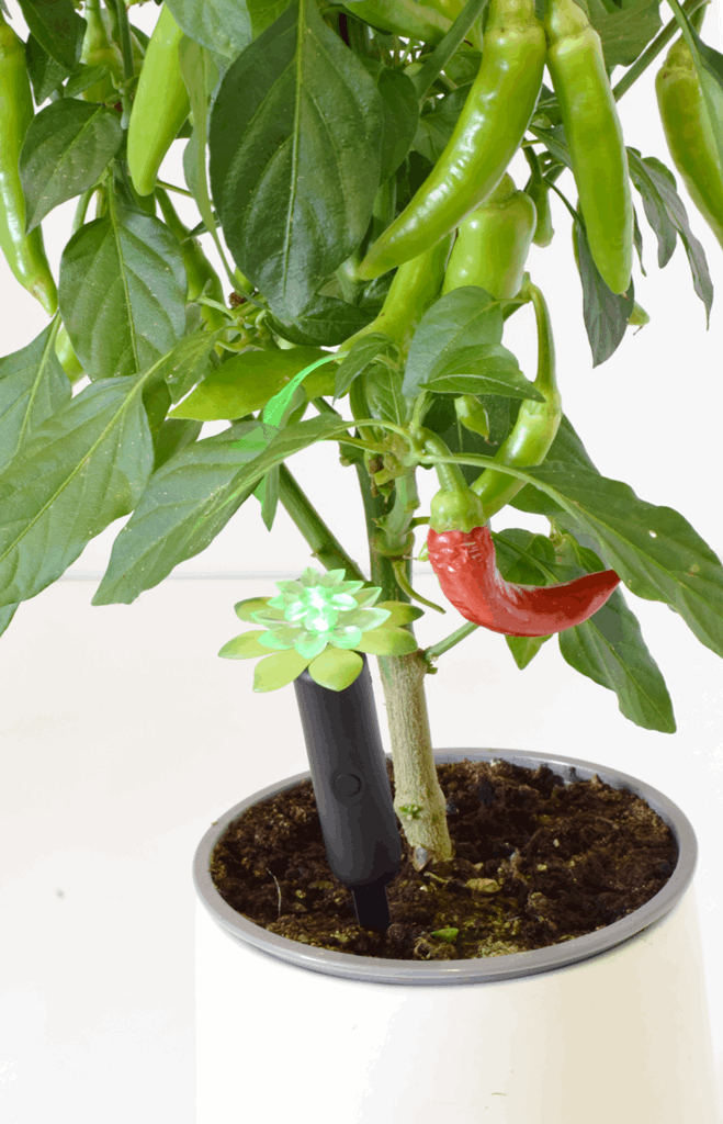 Plant Alarm Kit - Image 3