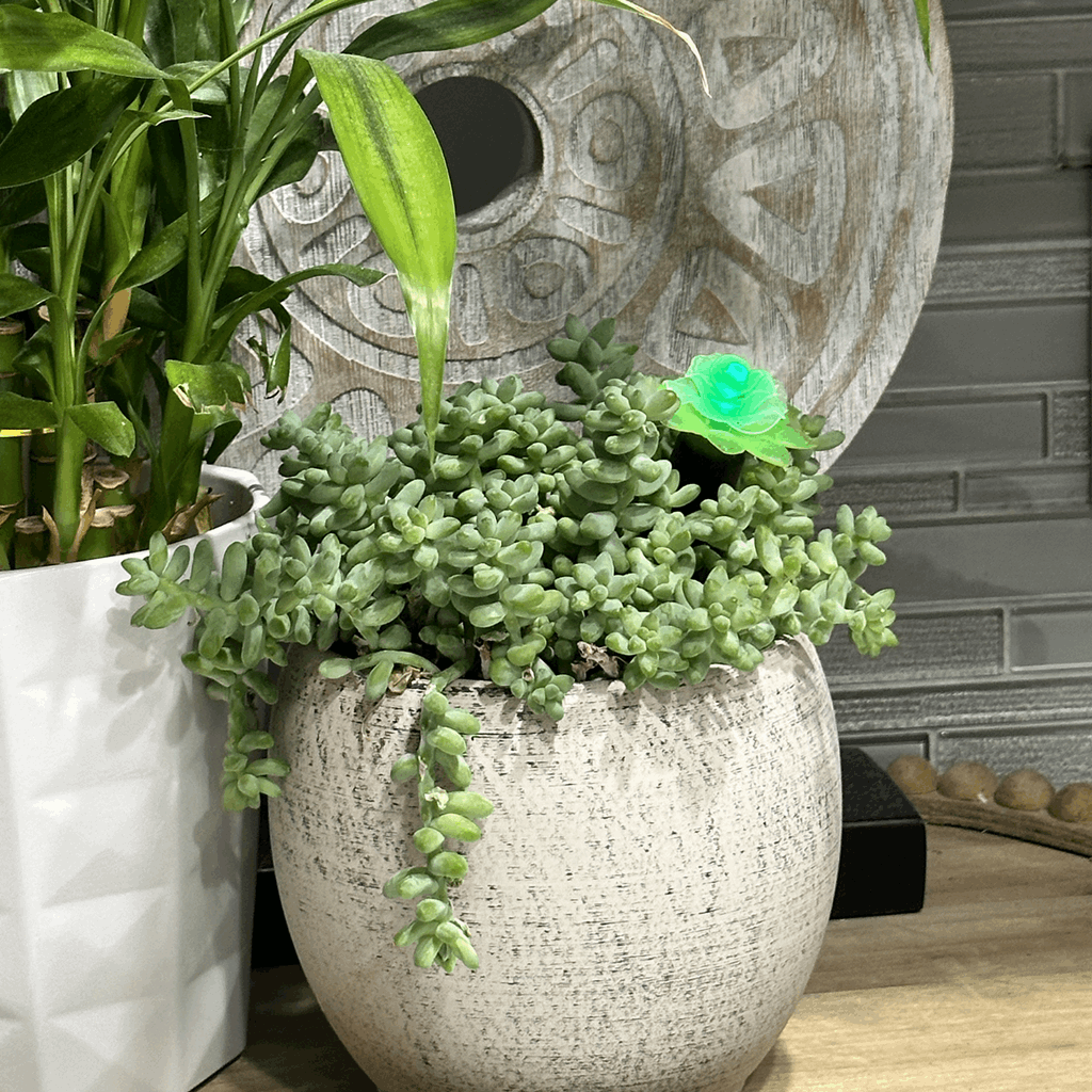 Plant Alarm Kit - Image 6