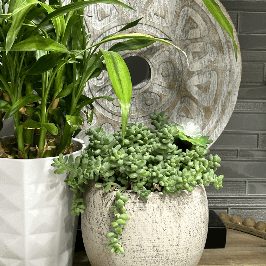 Plant Alarm Kit - Image 8