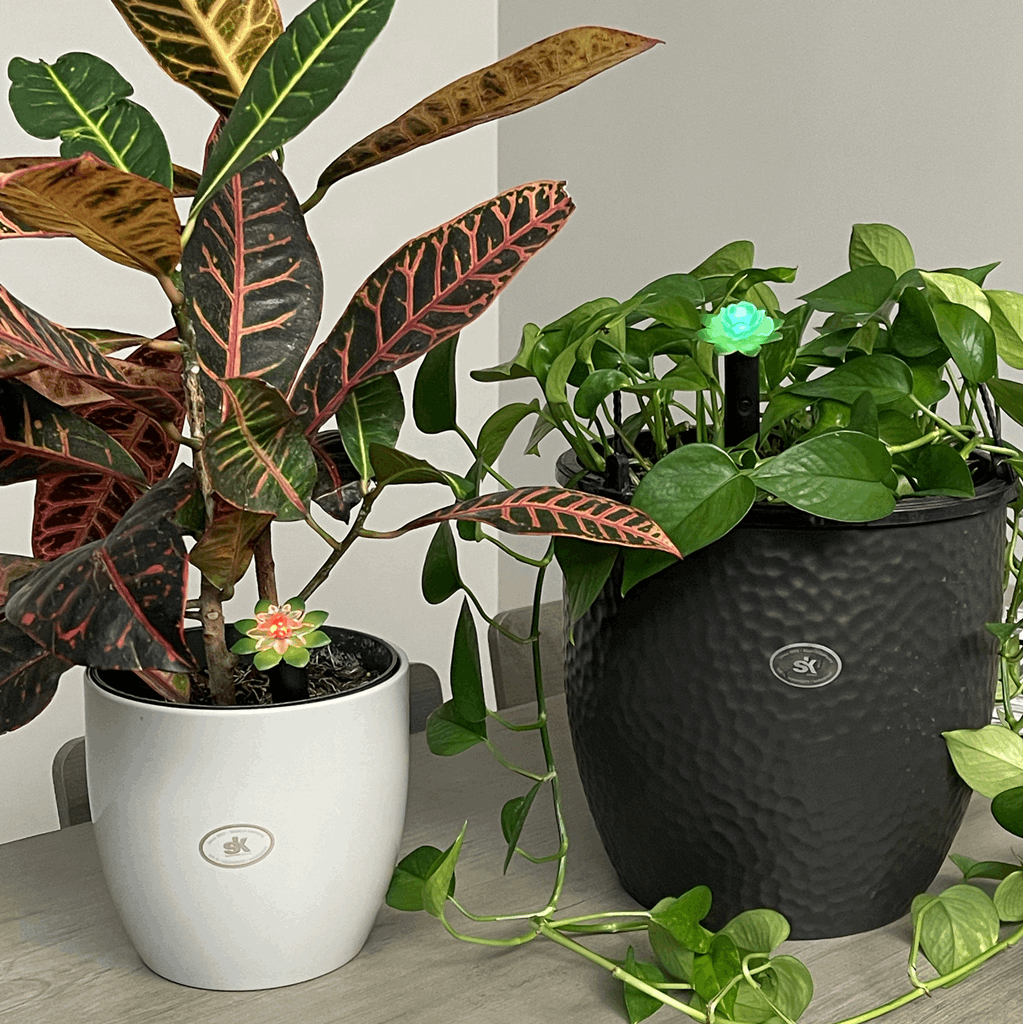 Plant Alarm Kit - Image 10