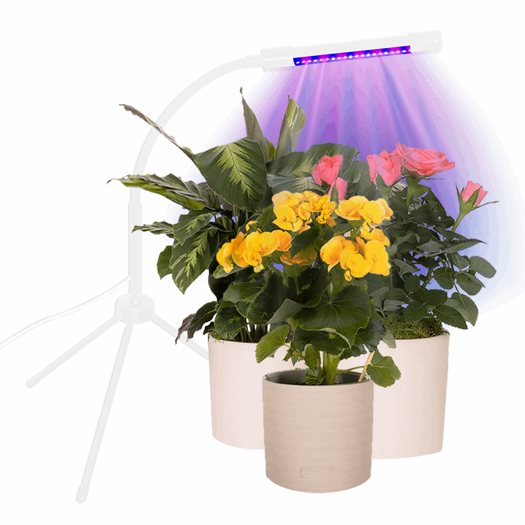Plant Booster Grow Light - Image 2