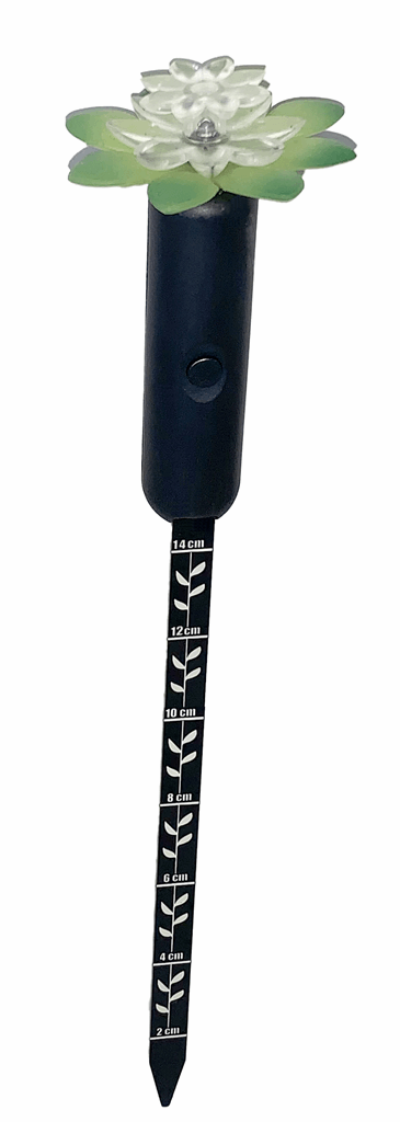 Plant Deluxe Kit - Image 5