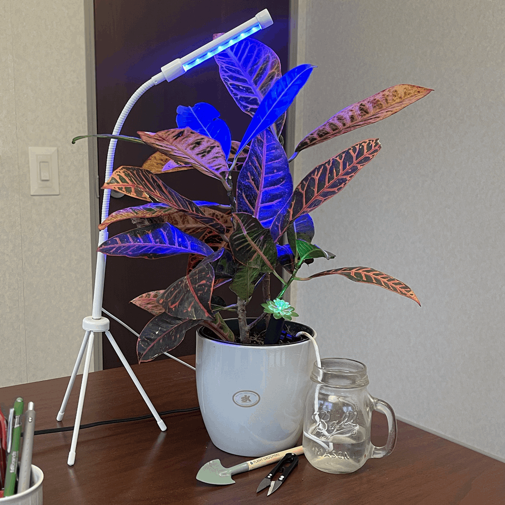 Plant Deluxe Kit - Image 13