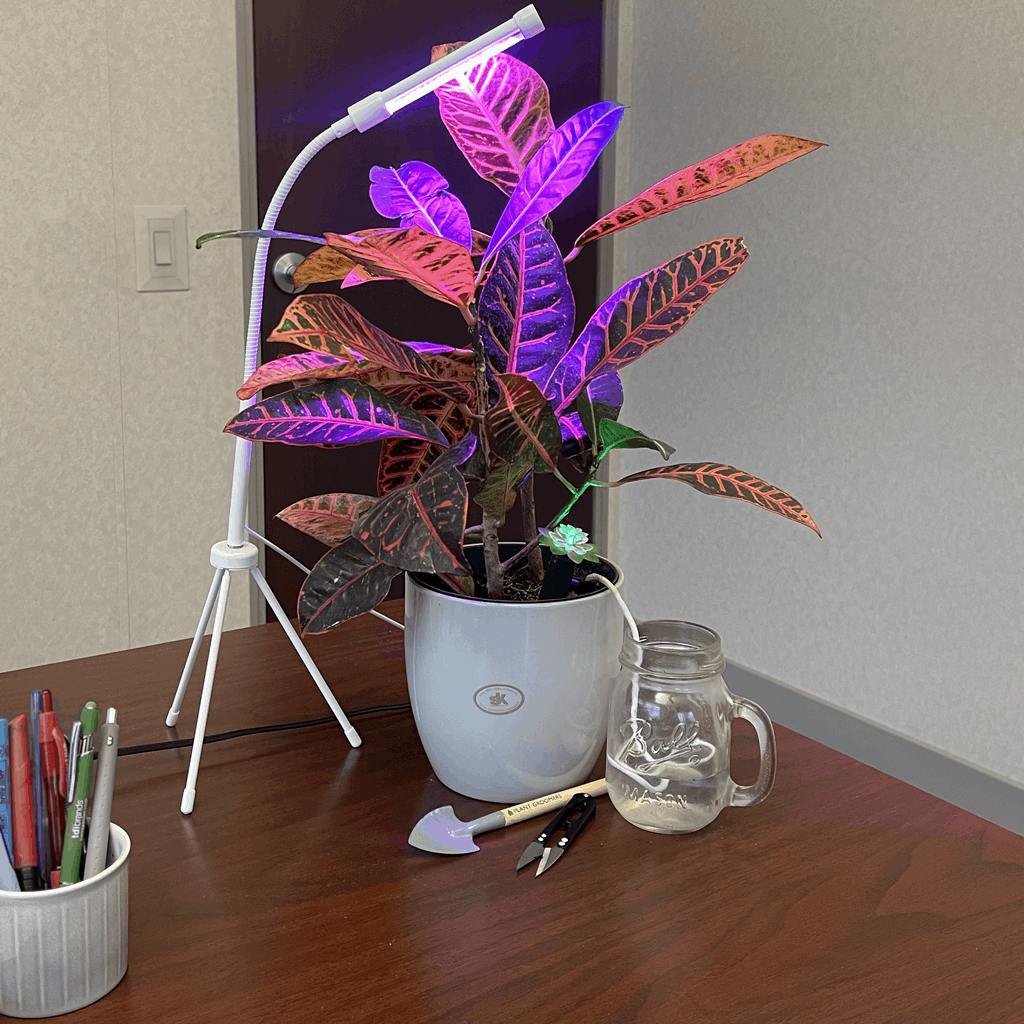 Plant Deluxe Kit - Image 14