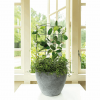 Plant Grid Trellis Kit- Medium - Image 2