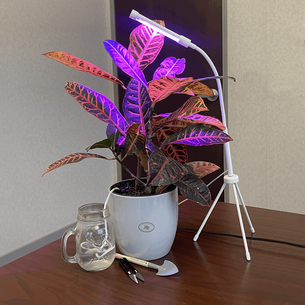 Plant Grow Kit - Image 10