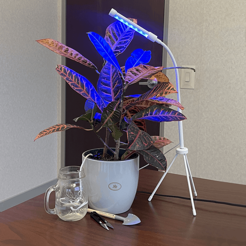 Plant Grow Kit - Image 11