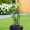 Plant Trellis Kit- Small Circle - Image 6