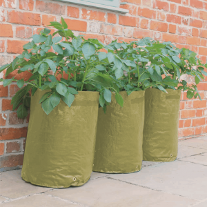 Potato/Tomato Patio Planter 3pk