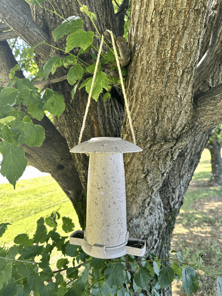 Seed Feeder - Coffee Husks - Image 7