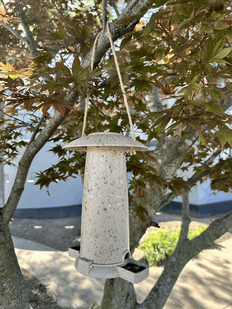 Seed Feeder - Coffee Husks - Image 8
