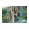 Slim Woody Soft Tie - Image 3
