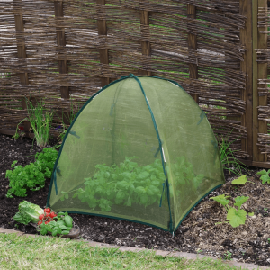 Standard Easy Micromesh Dome