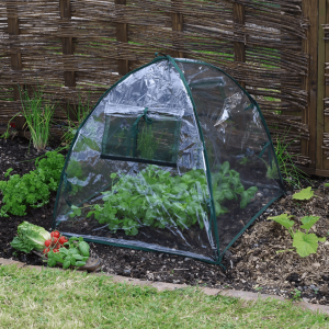 Standard Easy Poly Dome