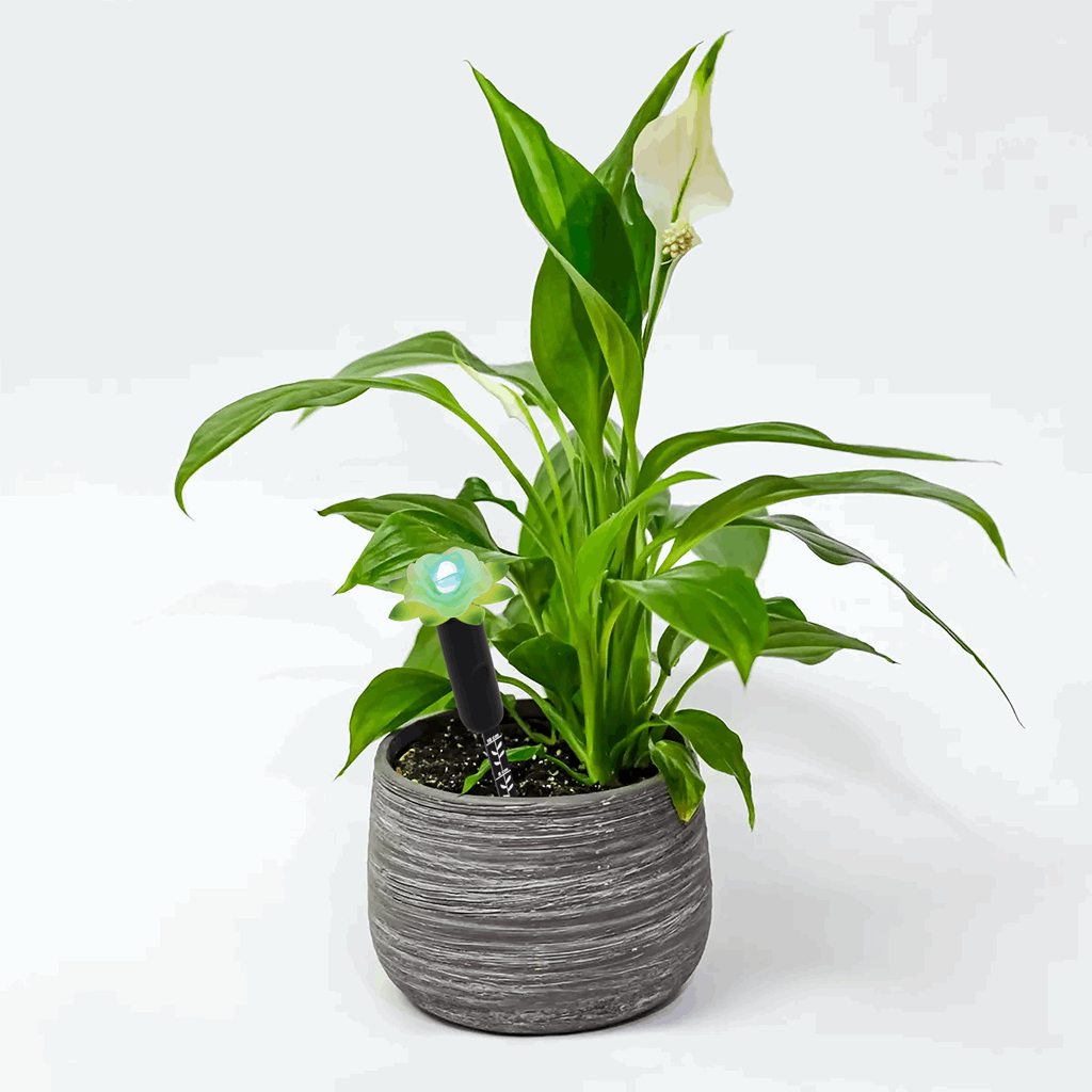 Standard Plant Alarm - Image 3