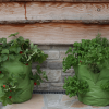 Strawberry & Herb Patio Planter 2pk - Image 3