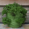 Strawberry & Herb Patio Planter 2pk - Image 4