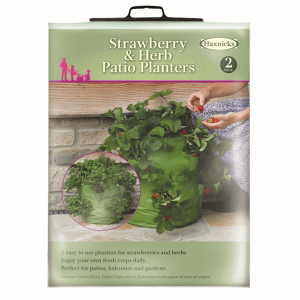 Strawberry & Herb Patio Planter 2pk