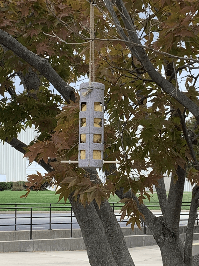 Suet Ball Feeder - Chaff - Image 4