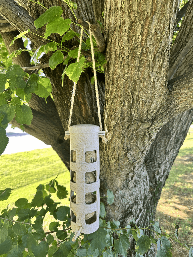 Suet Ball Feeder - Chaff - Image 7