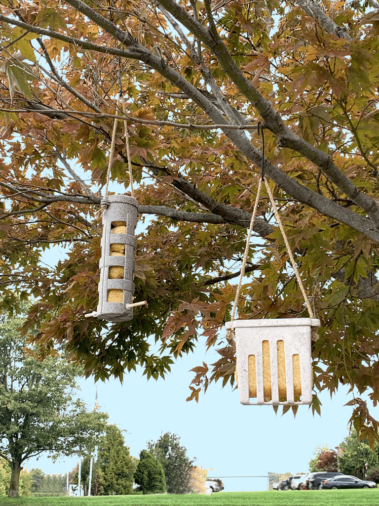 Suet Ball Feeder - Nut Husks - Image 4