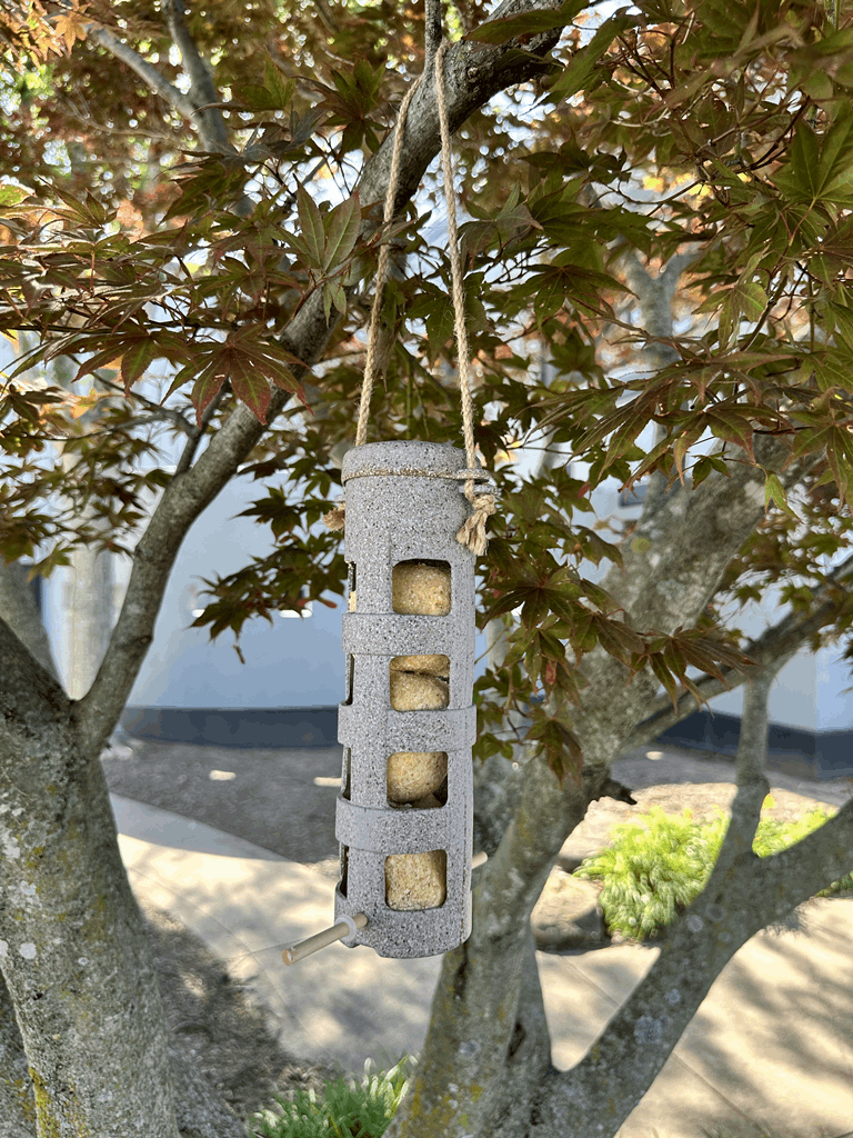 Suet Ball Feeder - Nut Husks - Image 8