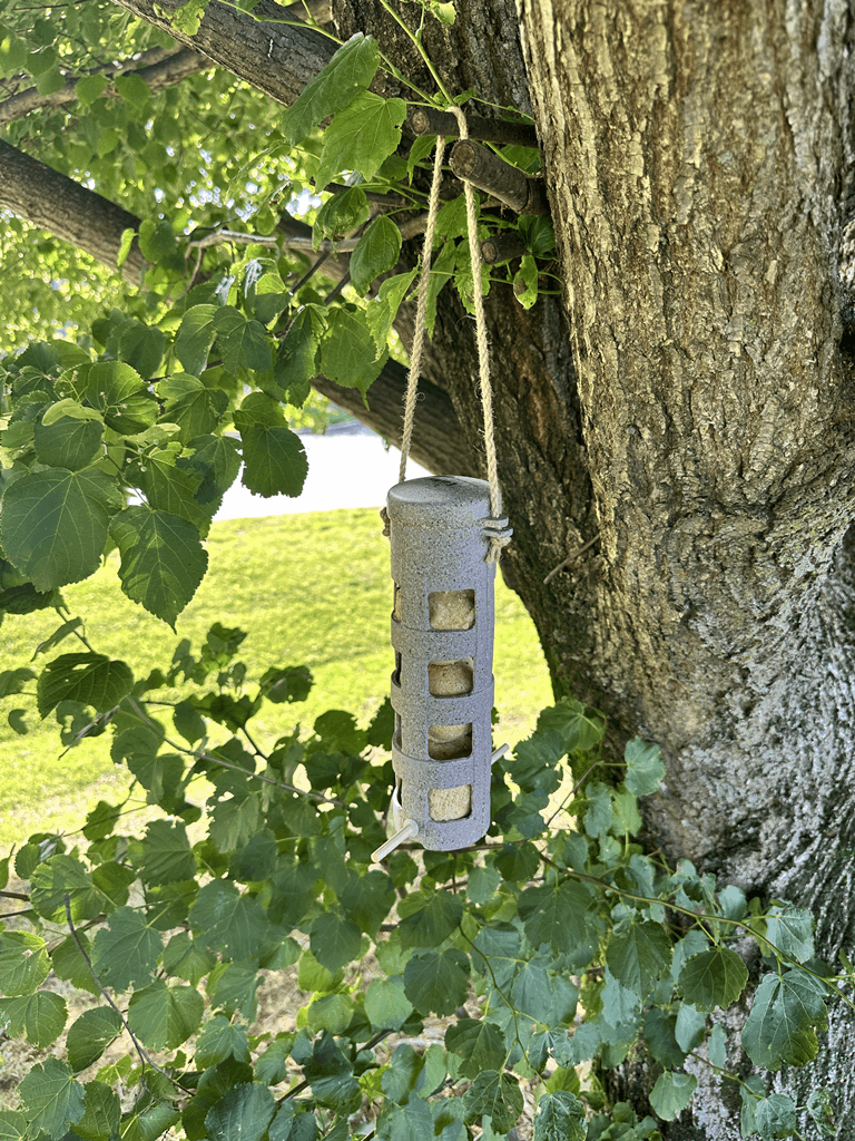 Suet Ball Feeder - Nut Husks - Image 9