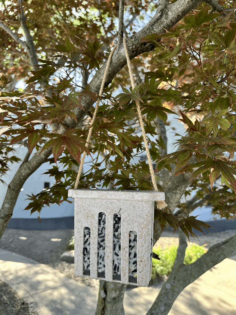 Suet Cake Feeder - Chaff - Image 7