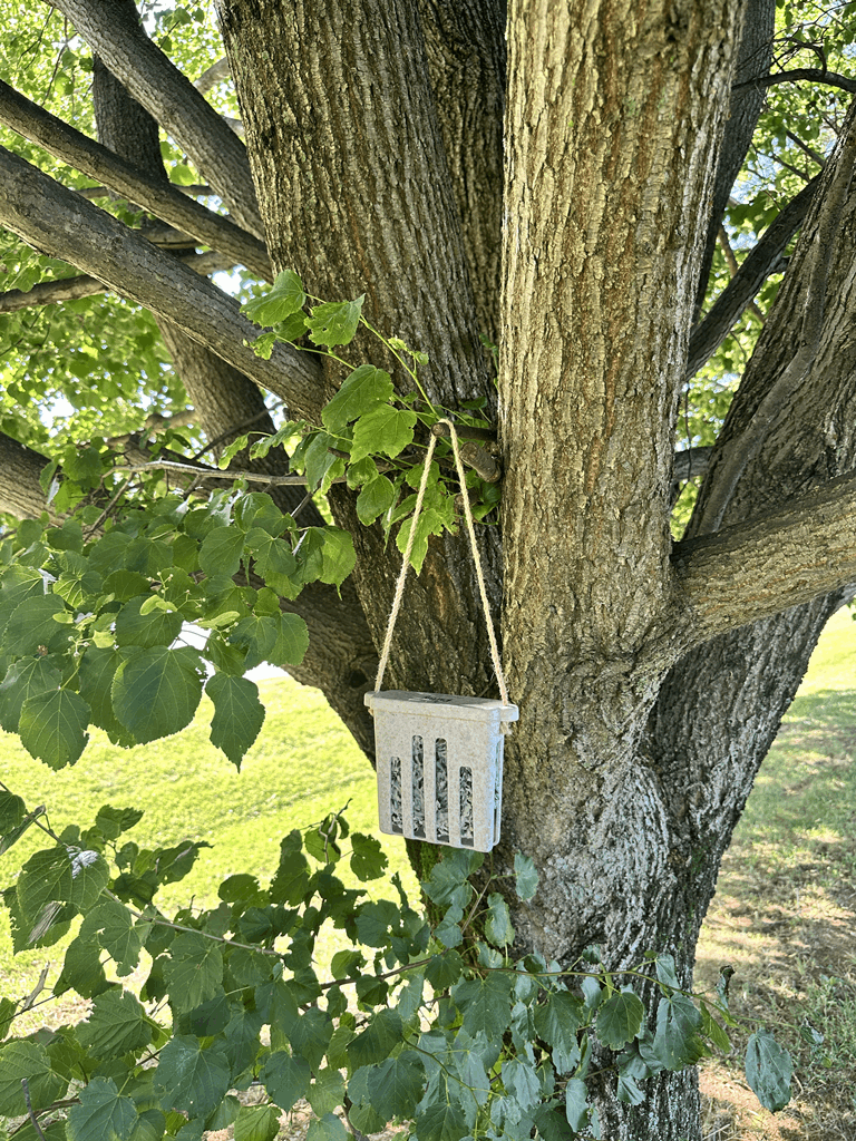 Suet Cake Feeder - Chaff - Image 8