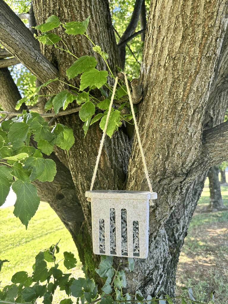 Suet Cake Feeder - Chaff - Image 9