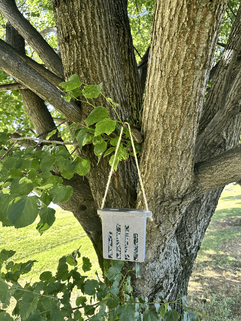 Suet Cake Feeder - Nut Husks - Image 9