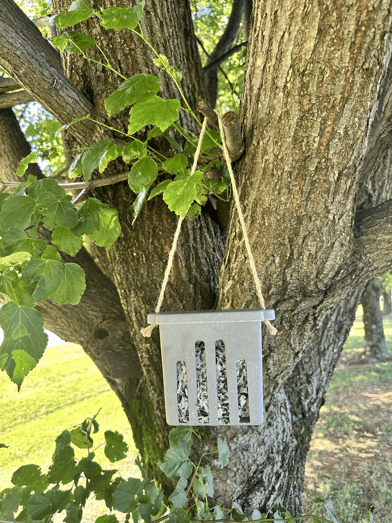 Suet Cake Feeder - Straw - Image 7