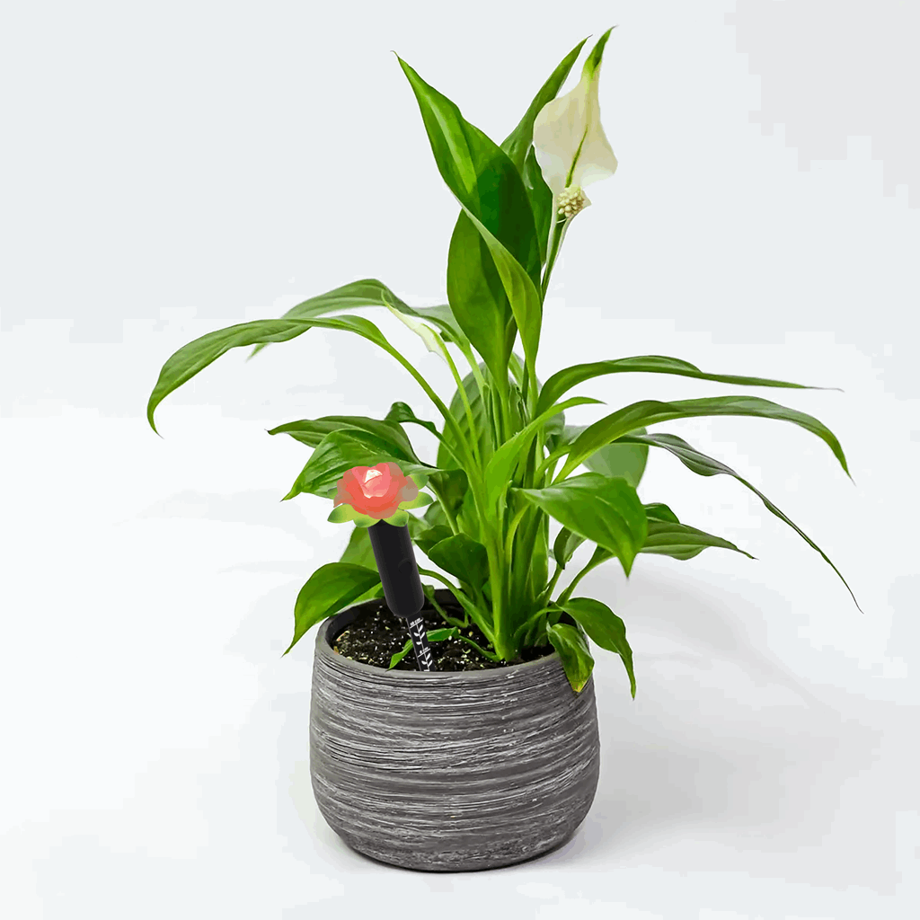 Tall Plant Alarm - Image 2