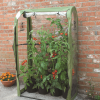 Tomato Crop Booster with Cover - Image 6