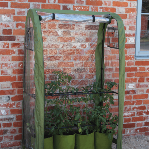 Tomato Crop Booster with Cover