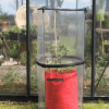 Twist Up Tomato Cloche - Image 3