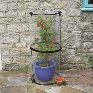 Twist Up Tomato Cloche