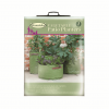 Vegetable Patio Planter 3pk - Image 2