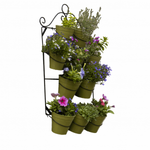 Wall Plant Holder